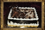 bc-0003