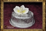 bc-0022